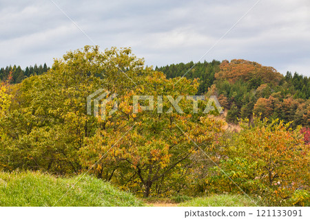 Falls of Satoyama 121133091