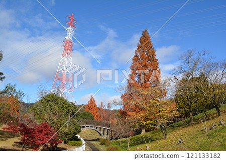 Autumn leaves in Shiki no Mori (Komaki City, Aichi Prefecture) 121133182