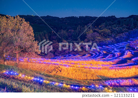（千葉縣）小山千枚田點燈：梯田上的燈光 121133211