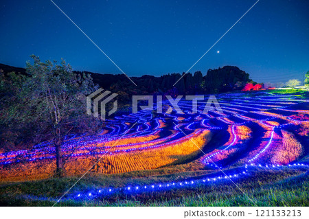 (Chiba Prefecture) Oyama Senmaida Illumination: Lights of the Rice Terraces (Chiba Prefecture) Oyama Senmaida Illumination: Lights of the Rice Terraces 121133213