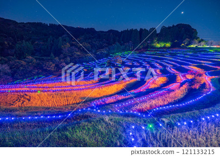 (Chiba Prefecture) Oyama Senmaida Illumination: Lights of the Rice Terraces 121133215