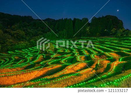 (Chiba Prefecture) Oyama Senmaida Illumination: Lights of the Rice Terraces 121133217