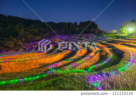 (Chiba Prefecture) Oyama Senmaida Illumination: Lights of the Rice Terraces 121133218