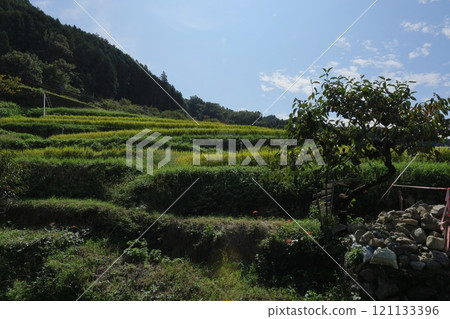 Country landscape Country landscape 121133396
