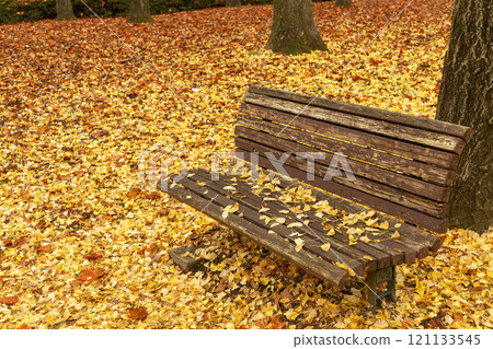 Carpet of fallen leaves Carpet of fallen leaves 121133545