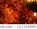 Bright red autumn leaves 121134060