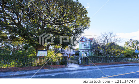 山手青陽館的冬天 山手青陽館的冬天 121134747