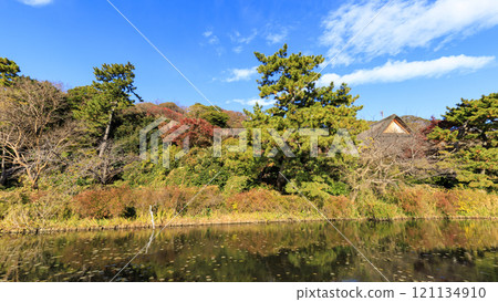 橫濱本牧三溪園和三溪園的秋葉 橫濱本牧三溪園和三溪園的秋葉 121134910