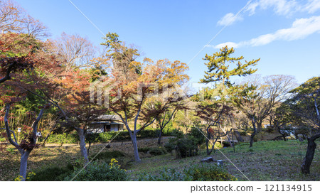 Autumn leaves at Sankeien Garden in Honmoku, Yokohama 121134915