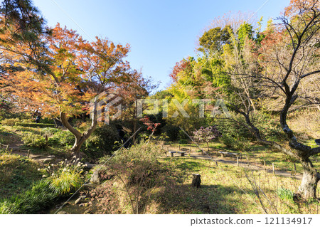 橫濱本牧三溪園和三溪園的秋葉 橫濱本牧三溪園和三溪園的秋葉 121134917