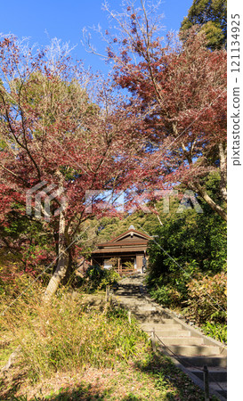 橫濱本牧三溪園/三溪園方向 121134925