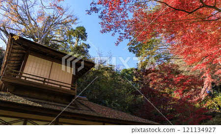 橫濱本牧三溪園/三溪園方向 121134927
