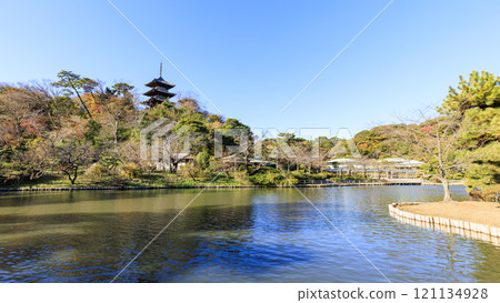 橫濱本牧三溪園/三溪園方向 121134928