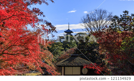 Direction of Yokohama Honmoku Sankeien Garden and Sankeien Garden 121134929