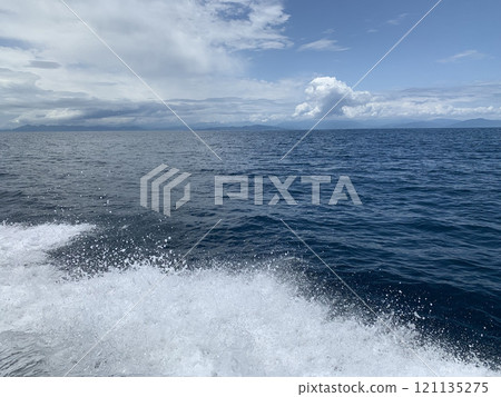 Vibrant wave splash 121135275