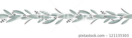 Eucalyptus leaf seamless border illustration on white background. Hand drawn vintage style eucalyptus branch decoration elegant element. Natural organic, medicinal herb seamless border 121135303