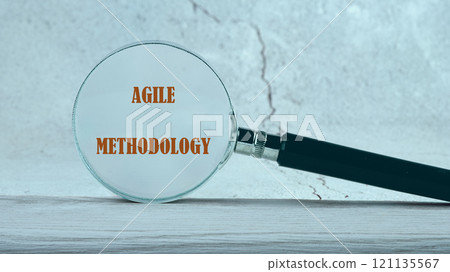 Risk assessment, product quality. Business organization. AGILE METHODOLOGY words written through a magnifying glass in the background 121135567