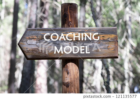 Business concept. The phrase, text,and words of the COACHING MODEL is written on the signs in the forest against the background of trees Business concept. The phrase, text,and words of the COACHING MODEL is written on the signs in the forest against the background of trees 121135577