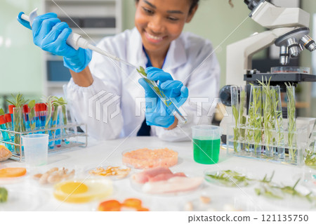 Microbiologist Working on Molecule Samples in Modern Food Science Laboratory, concentration of chemical residues. hazards, standard, find prohibited substances, contaminate. Microbiologist Working on Molecule Samples in Modern Food Science Laboratory, concentration of chemical residues. hazards, standard, find prohibited substances, contaminate. 121135750