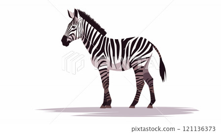 卡通斑马在白色的的背景上 121136373