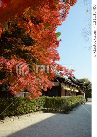 Shimogamo Shrine, Mitsui Shrine, Autumn leaves, Sakyo Ward, Kyoto City Shimogamo Shrine, Mitsui Shrine, Autumn leaves, Sakyo Ward, Kyoto City 121136406