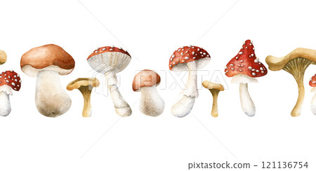 Mushroom Seamless Border. Boletus, fly agaric and chanterelles. Watercolor hand drawn isolated floral illustration for fall design, botanical cards, cozy prints, labels, home decor, kitchen textile 121136754