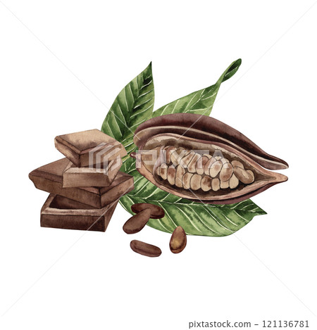 A bar of chocolate, a cocoa fruit with grains inside lies on the green leaves of a cocoa tree. The illustration with the composition of the plant and dessert is hand-painted in watercolor 121136781