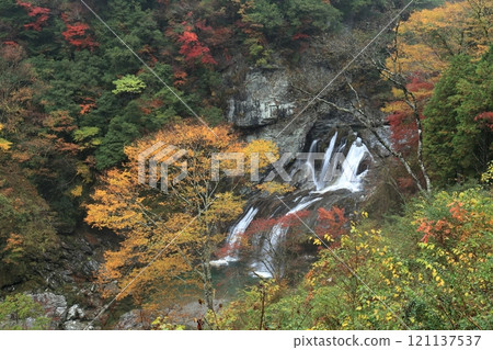 Amegaeri Falls and colorful autumn leaves (Setogawa Valley, Tosa Town, Kochi Prefecture) Amegaeri Falls and colorful autumn leaves (Setogawa Valley, Tosa Town, Kochi Prefecture) 121137537