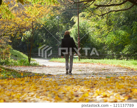 A senior woman walking in a winter park and yellow ginkgo leaves A senior woman walking in a winter park and yellow ginkgo leaves 121137789