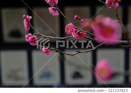 紅梅與三十六詩人 121137825