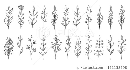 Hand drawn botanical black line art featuring branches, leaves, minimal floral elements. Delicate stems, abstract organic foliage for wedding invitations, packaging, posters, social media graphics 121138398
