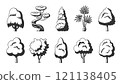 Tree icon set. Dracaena willow cypress thuja pine oak poplar birch spruce maple baobab palm sequoia aspen alder ash linden acacia chestnut. Black stamp stencil of forest stylized eco plants side view 121138405