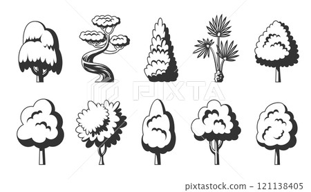Tree icon set. Dracaena willow cypress thuja pine oak poplar birch spruce maple baobab palm sequoia aspen alder ash linden acacia chestnut. Black stamp stencil of forest stylized eco plants side view 121138405