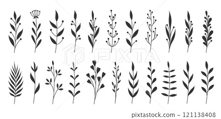 Botanical featuring hand drawn branches leaves floral elements. Variety shapes simple stems, elegant foliage, abstract florals. Creating wedding invitations, branding, patterns, posters, social media 121138408