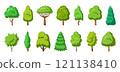 Flat tree set. Stylized eco plants side view. Arboretum garden willow cypress thuja pine oak poplar birch. Cartoon green trees forest spruce maple sequoia. Aspen alder ash linden acacia chestnut 121138410