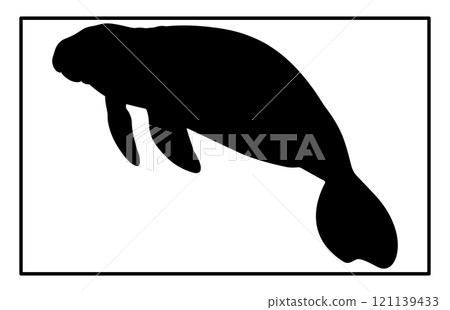 Manatee Silhouette ,Animal Icons, Sea life, Ocean Manatee Silhouette ,Animal Icons, Sea life, Ocean 121139433