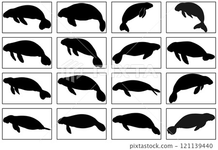 Manatee Silhouette ,Animal Icons, Sea life, Ocean Manatee Silhouette ,Animal Icons, Sea life, Ocean 121139440