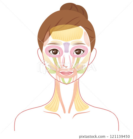 How facial muscles work: Beauty, Facial muscles 121139450