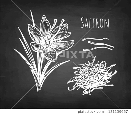 Saffron spice chalk sketch. 121139667