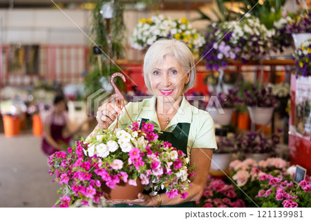 Woman flower seller holding petunia in hands in flower shop Woman flower seller holding petunia in hands in flower shop 121139981