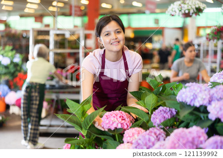 Smiling asian female florist caring blooming hortensia at flower market 121139992