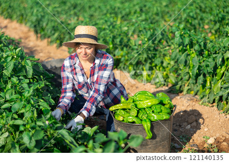 Positive woman harvesting green pepper 121140135