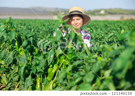 Female farmer puts bell peppers in basket for sale in market 121140139
