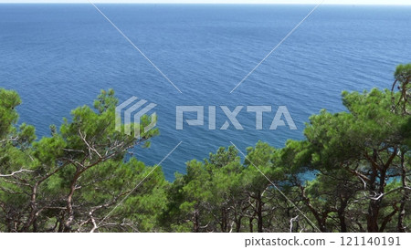 Black Sea coast of a wild beach near the Cape Idokopas, not far from the famous Putin's secret palace, rural area of the municipality resort town of Gelendzhik 121140191