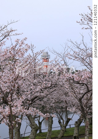 Cherry blossom trees and the Coal Memorial Museum Cherry blossom trees and the Coal Memorial Museum 121140332
