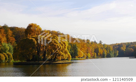 Autumn leaves fall in the forest, natural landscape 121140509