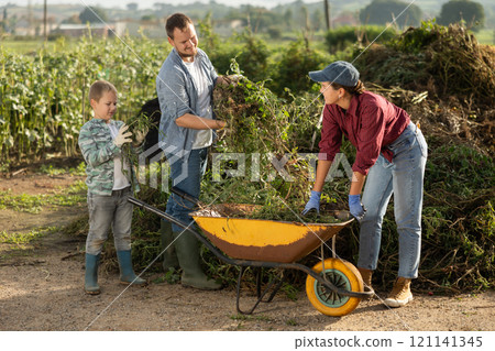 Man woman and boy putting weeds in wheelbarrow Man woman and boy putting weeds in wheelbarrow 121141345