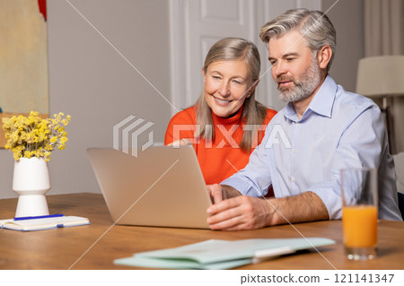Smiling mature couple having a video call and looking involved Smiling mature couple having a video call and looking involved 121141347