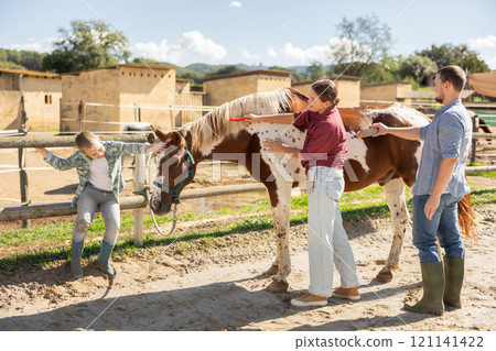 Man, woman and boy stroking and combing horse Man, woman and boy stroking and combing horse 121141422