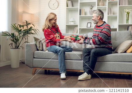 Mature couple spending time together at home before christmas 121141510